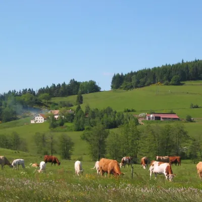 Ferme auberge du nouveau chemin