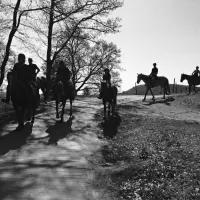 Les ballades nature au ranch du laubenrain DR