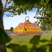 Festival ChapiMôme