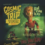 Festival Cosmic Trip