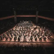 Festival De Carcassonne - Orchestre National Du Capitole De Toulouse