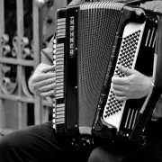 Festival de l\'accordéon