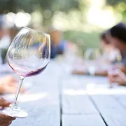 Festival des Vins des Coteaux du Giennois