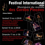 Festival International des cordes pincées