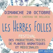 Festival : Les Herbes folles