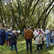 Festival Résurgence VIII - Visite guidée \