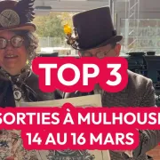 Événements à Mulhouse mars 2025 : festival et carnavals au programme ce week-end !