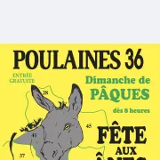 Fête aux ânes et aux mules