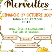 Fête - Courges Et Merveilles