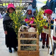 Fête de l'agneau de Lesparre