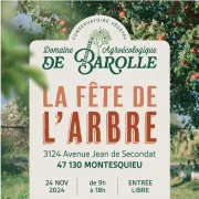 Fête de l'arbre