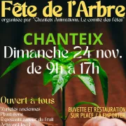 Fête de l'arbre