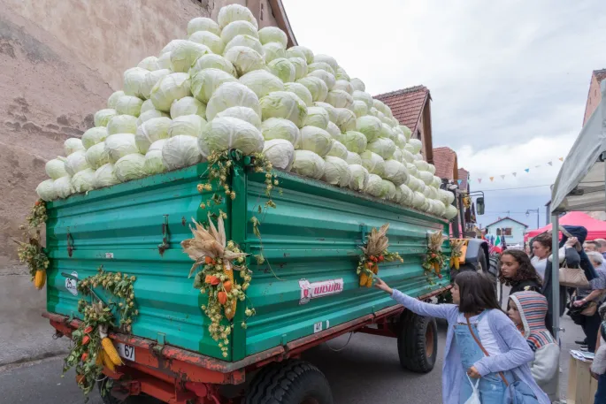 Fête de la Choucroute à Krautergersheim 2025