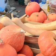 Fête de la citrouille à Martigues