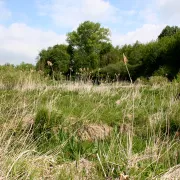 Fête de la nature à Vesles-et-Caumont