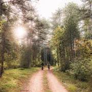 FÊTE DE LA NATURE ET DE LA NOIX - TOUR ET DETOURS