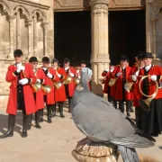 Fête de la Palombe