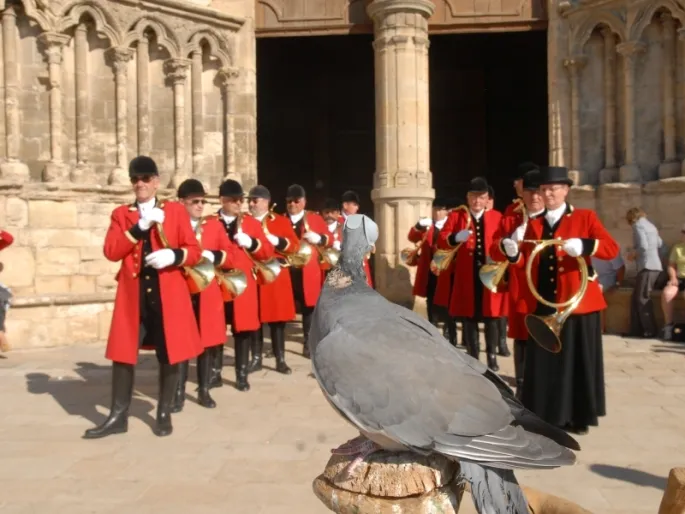 Fête de la Palombe