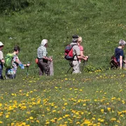 Fete De La Randonnee Pédestre