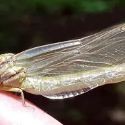 Fête de la Science-La Rivière