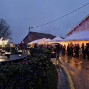 Fête De Saint-Nicolas