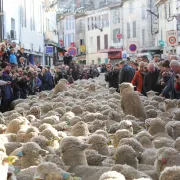 Fête des Bergers et des Traditions