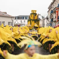  &copy; Fête des Jonquilles