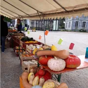 Fête Des Légumes Et Salon Du Terroir