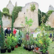 Fête des plantes