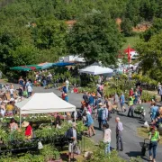 Fête des plantes