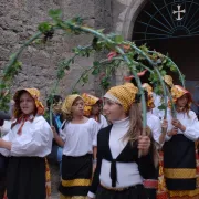 Fête Des Vendanges