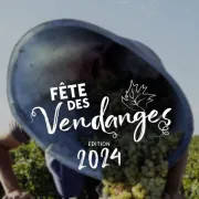 Fête Des Vendanges