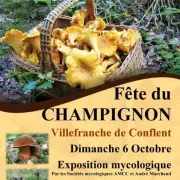 Fête Du Champignon 2024