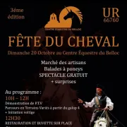 Fête Du Cheval  - Ur