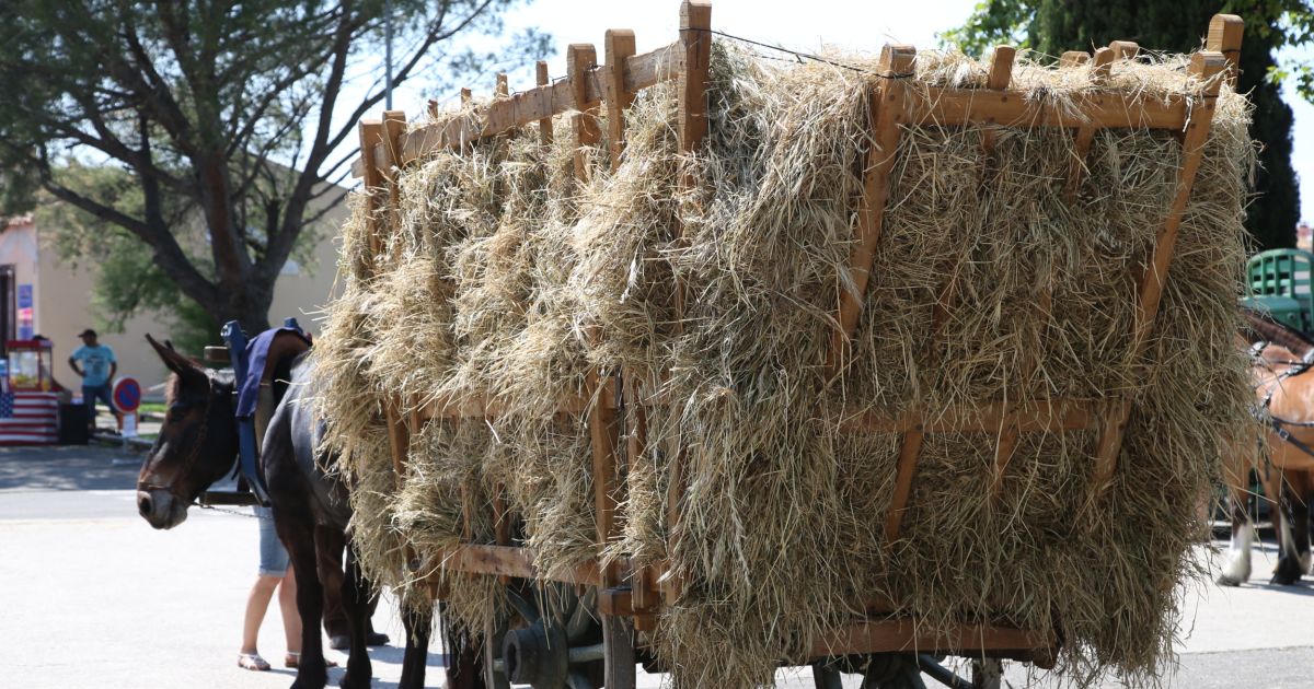 Fête du foin Istres 2025 date, horaires, programme, tarifs