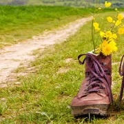 Fête du printemps