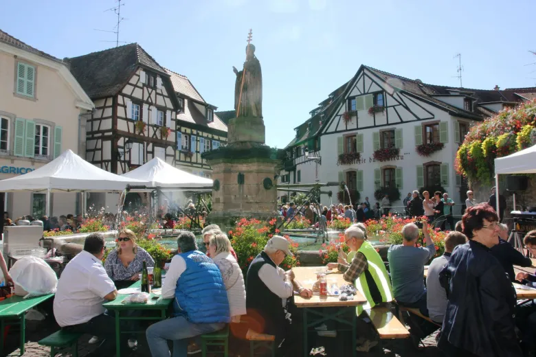 Fête du Vin Nouveau à Eguisheim 