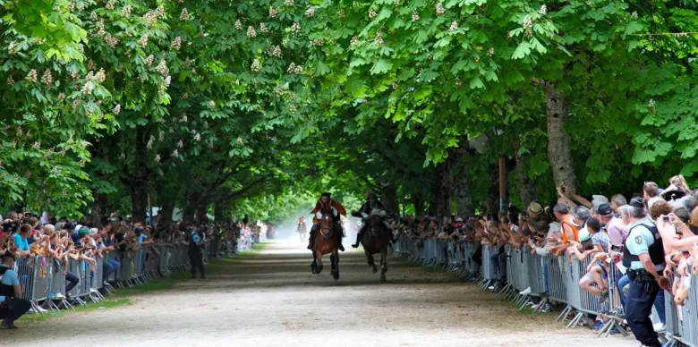 Course de la Bague