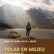 Film : Polar en milieu hostile