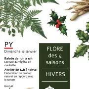 Flore Des 4 Saisons