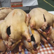 Foire Au Gras Et Marché Gourmand