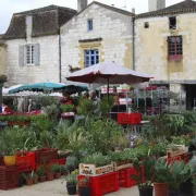 Foire aux fleurs