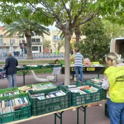 Foire aux livres par Amnesty International