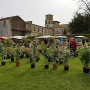 Foire aux plantes \