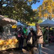 Foire aux potirons