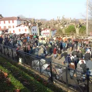 Foire aux Pottok