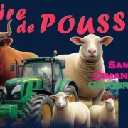 Foire Commerciale Et Agricole