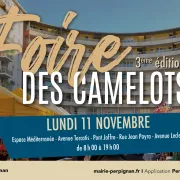 Foire Des Camelots