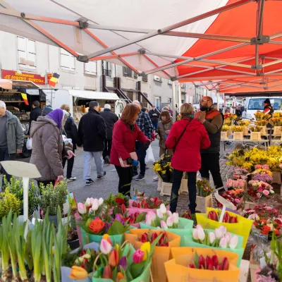 Foire Grasse de Lunéville 2025