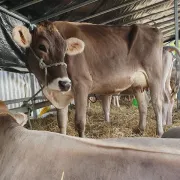 Foire Nationale - Verdun Expo Meuse